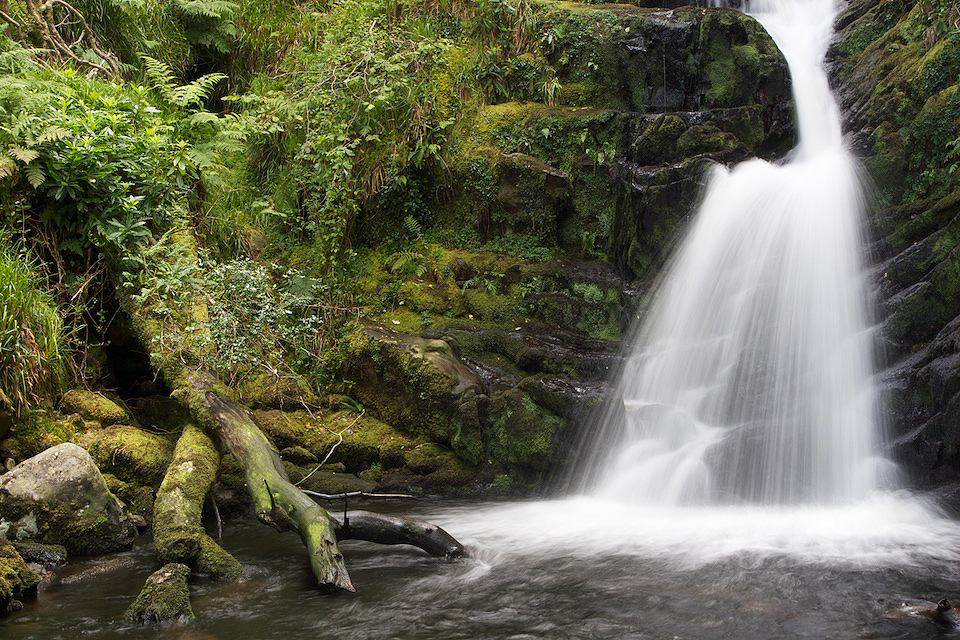 Discovering a secluded cascade in Killarney