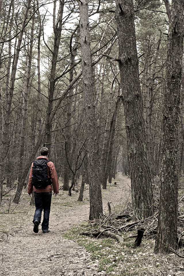 Hiker on a forest trail