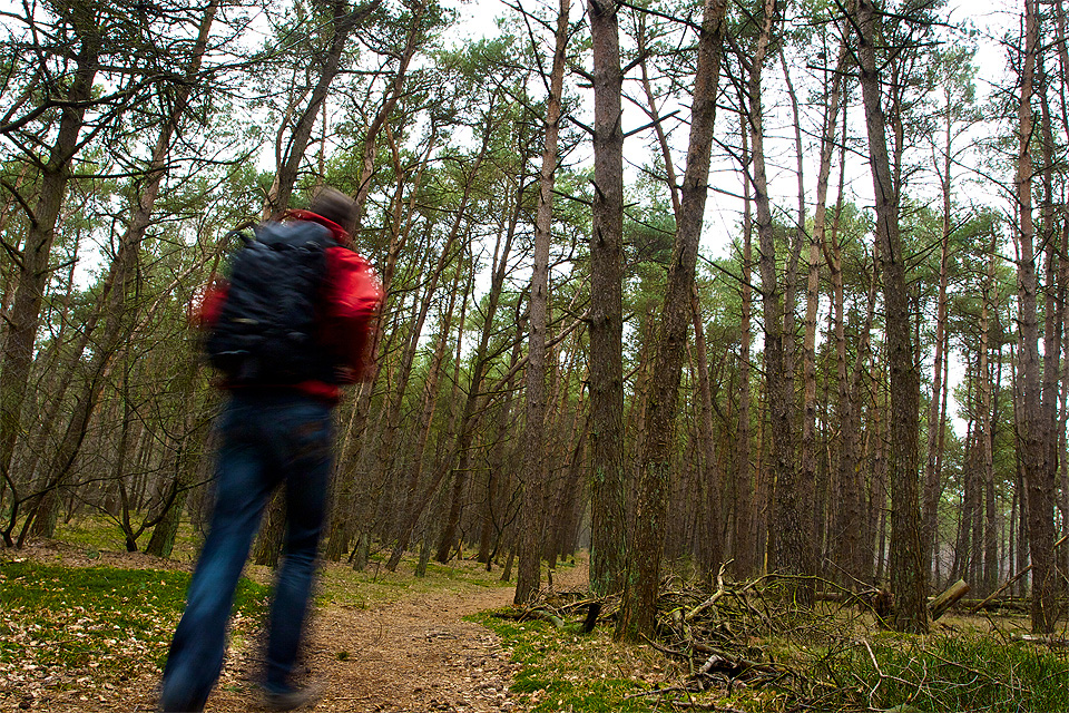 Hiker on a trail at the Holterberg