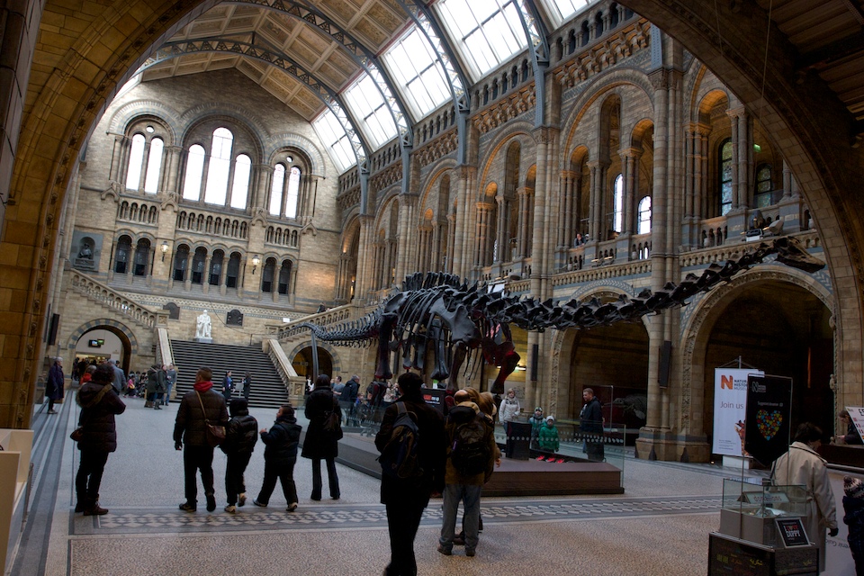 'Dippy' the Diplodocus, in the National History Museum