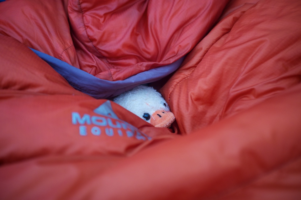 Look what we found in my sleeping bag; was hitching along for the ride :)